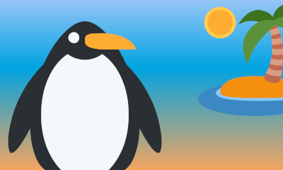 Cómo usalo DNIe en Firefox 60.0.2 en Archlinux